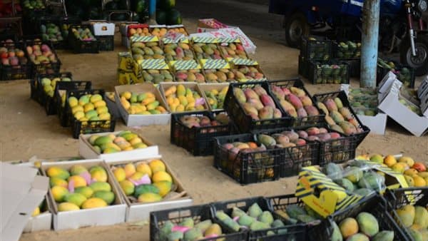 Mango prices shift amid Ismailawi invasion