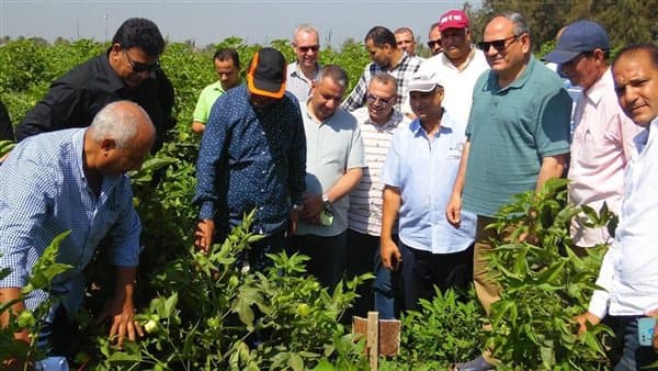 وزير الزراعة السابق يثمن جهود الباحثين