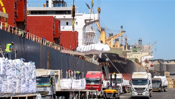 Damietta Port processes 9 ships and 73,000 tons of cargo