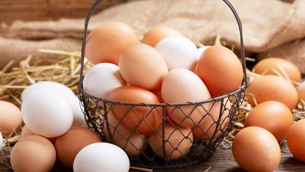 سعر كرتونة البيض يستمر في ارتفاع