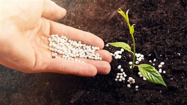 Fertilizer Prices Today Urea Up Nitrate Down