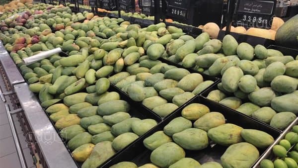 أسعار المانجو اليوم وارتفاع تومي وفجر