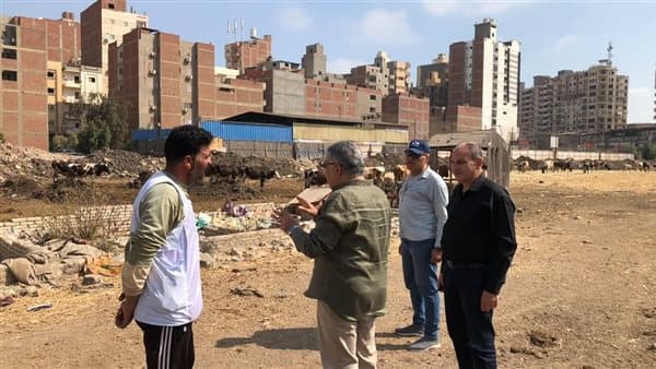 Dakahlia Governor Warns Over Livestock at Mansoura Entrance