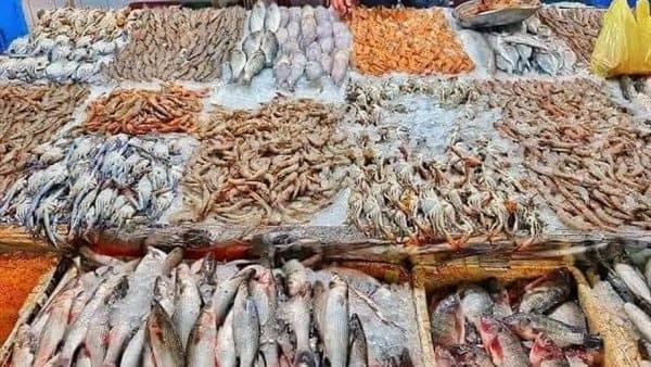 Fish prices reflect new slogan