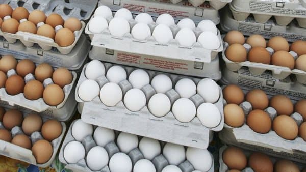 Egg prices rise amid school season