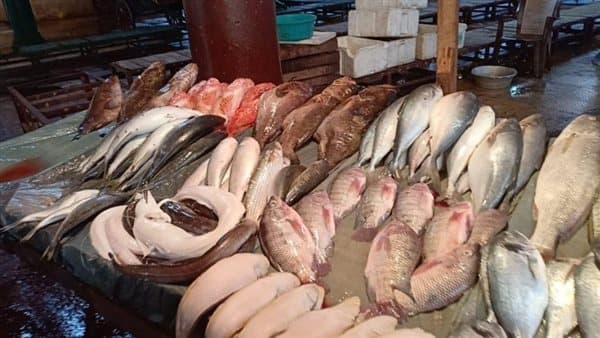 Fish prices today: shrimp down, tilapia, crab, mackerel up