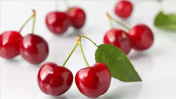 Advantages of Eating Cherry Stems