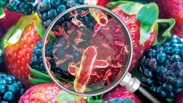 Health alert on contaminated foods