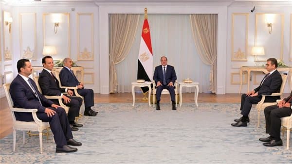 Egypt's efforts to bolster Libya's stability