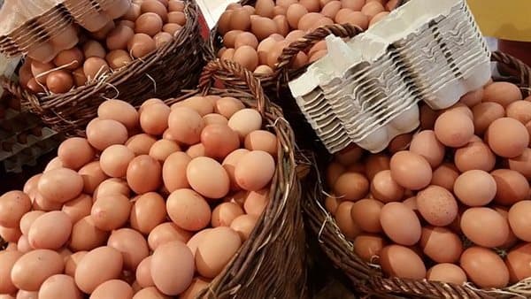 Egg prices in Poultry Exchange today