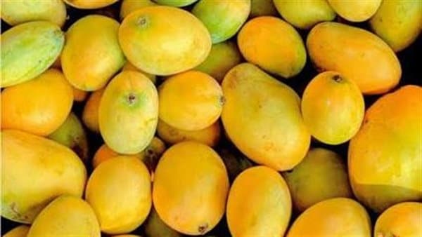 تفسير رؤية المانجو الصفراء وتحسن الظروف