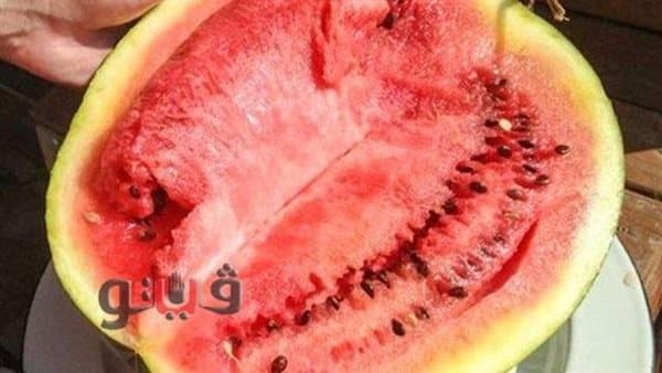 Farmers Warn Watermelon Crop Is Unfit