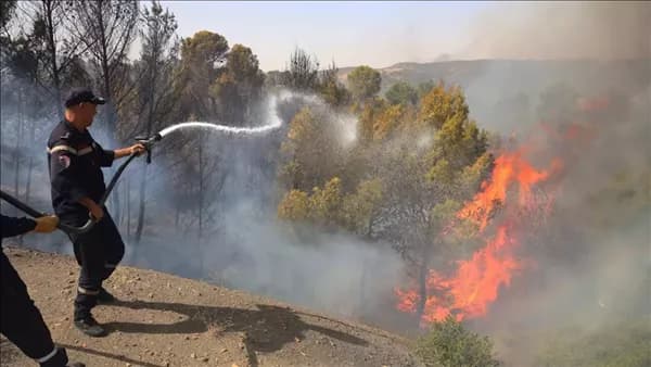 Algerian authorities manage recent fires