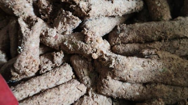 Agriculture Dept seizes 213 tons of illegal meat
