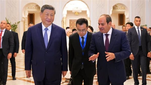 السيسي يعزز مصالح مصر في الأمن والتنمية