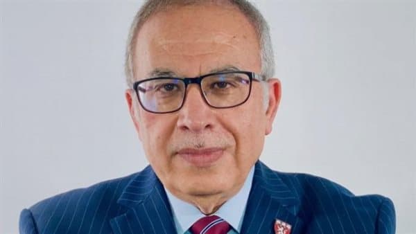 Harvard Expert Warns of Egyptian Collapse