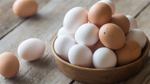 مسببات ارتفاع سعر البيض البلدي