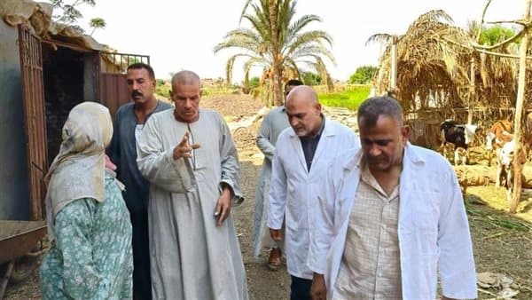 Qalyubia Vaccinates 81,000 Livestock