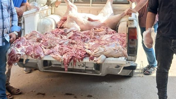 Fayoum food campaign seizes vehicle with 400kg spoiled meat