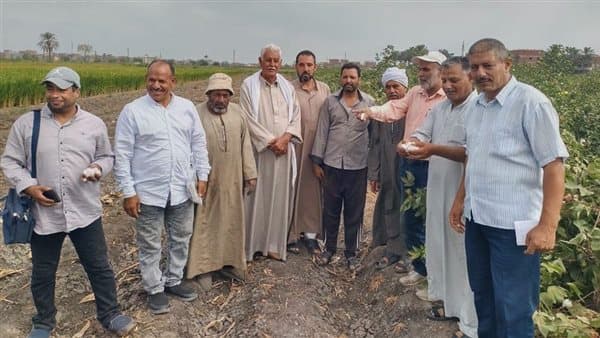 Eastern Agriculture conducts cotton guidance session for 2026