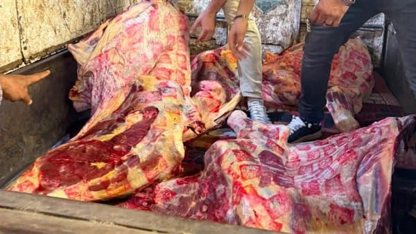 Large-scale Gharbia meat seizure