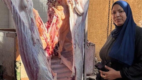 Cow with tuberculosis slaughtered in Damietta