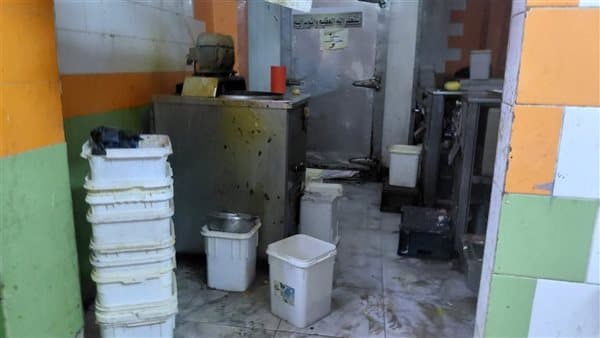 Minya ice cream factory seized over violations