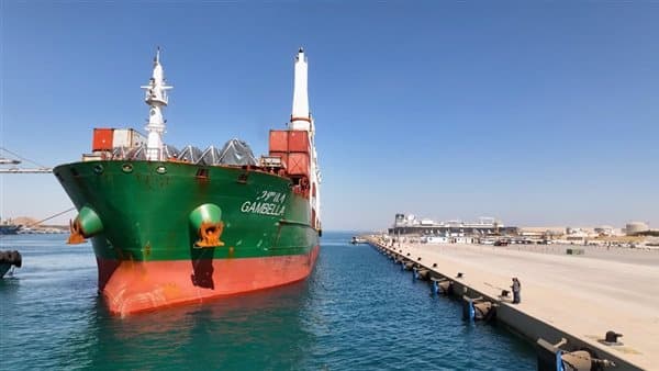 Red Sea ports handle 16,957 tons of cargo