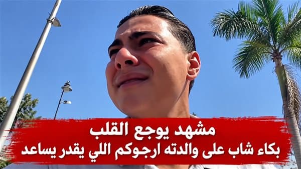 Cabinet Addresses Damanhour Mother's Case