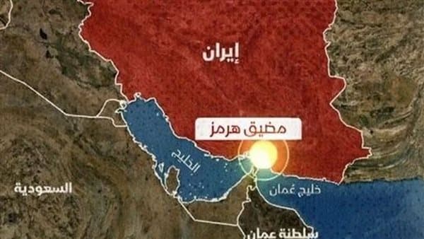 Iranian forces down drone in Hormuz