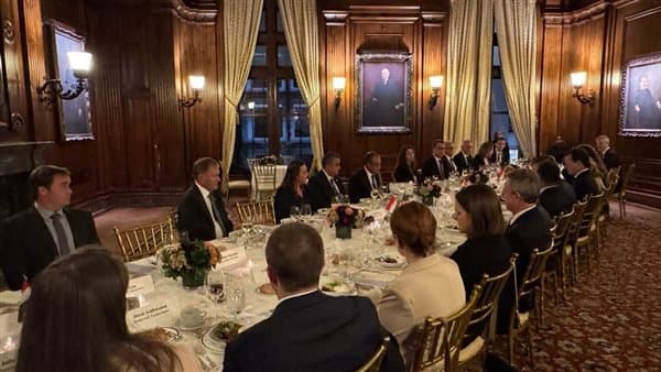 Foreign Minister Meets US Chamber on Egypt Investment