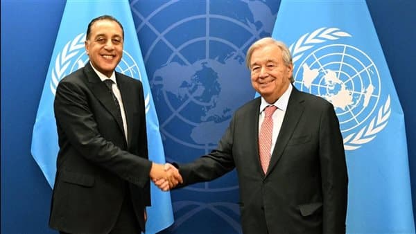 Egyptian envoy in New York discusses crises