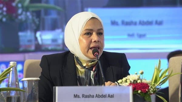 Egypt backs BRICS tax collaboration