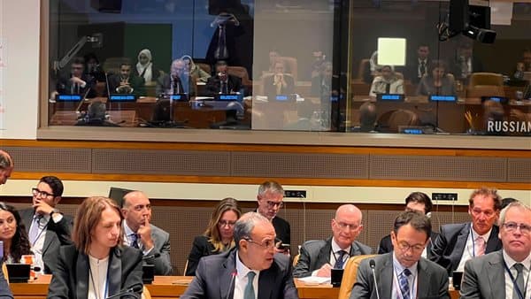 Foreign Minister attends Palestinian aid meeting