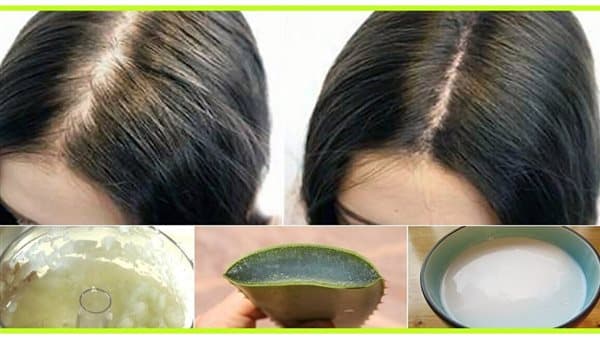 طرق طبيعية لتعزيز صحة الشعر الخفيف