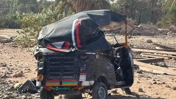 Aswan Train and Auto-Rickshaw Collide Injuring Two