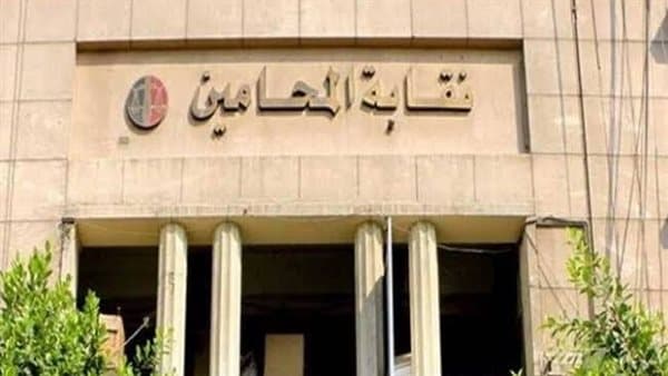 Lawyers investigated over fake graduation