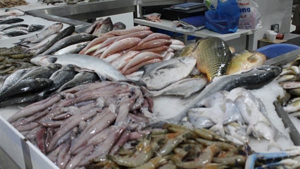 Today's fish prices fall for four types