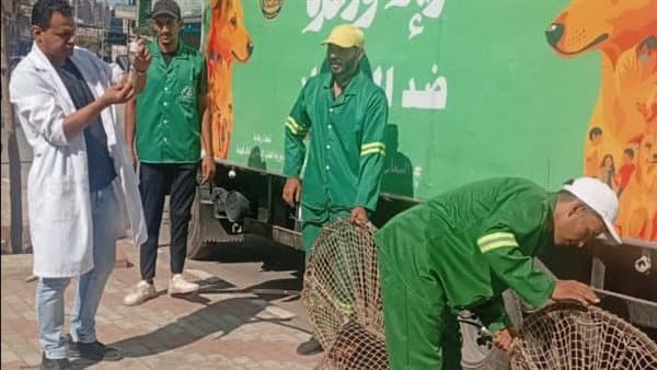 West Mansoura launches stray dog campaigns
