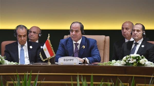 Sisi Urges African Unity on Development