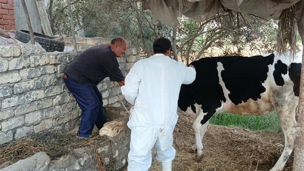 Faidi villages vaccinate 45,000 animals