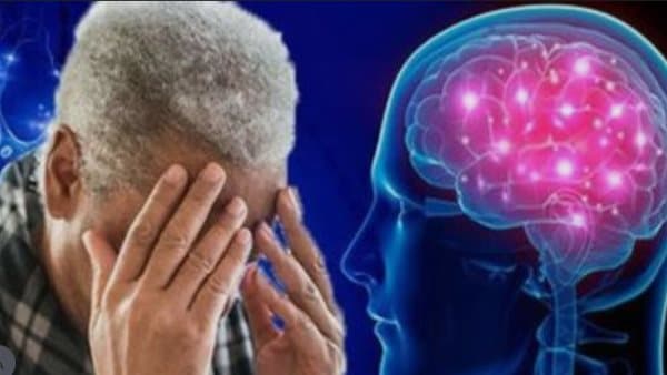 Nobel Medicine 2026 awarded for brain research