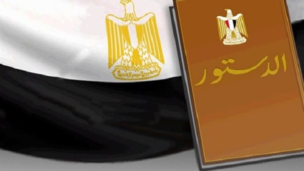 Expert calls for new Egyptian constitution