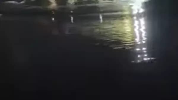 Car rescue and body recovery from Merioteya Canal