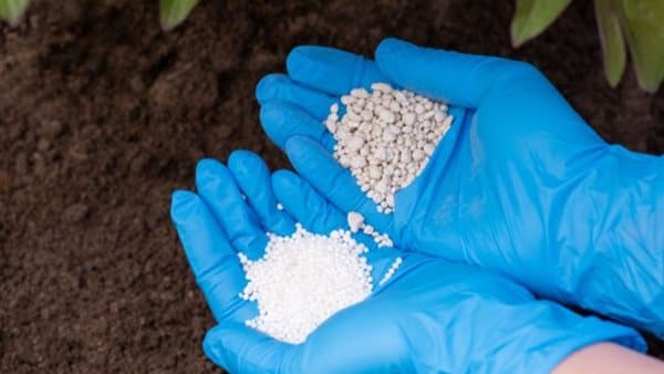 Fertilizer prices drop again for second day