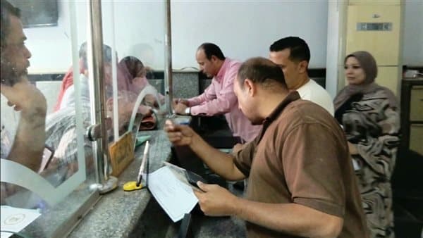 Damietta Launches Cleanliness Campaigns