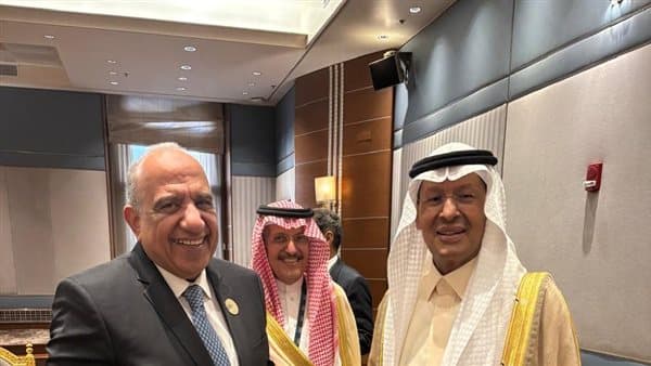 Saudi Arabia power link to operate in weeks