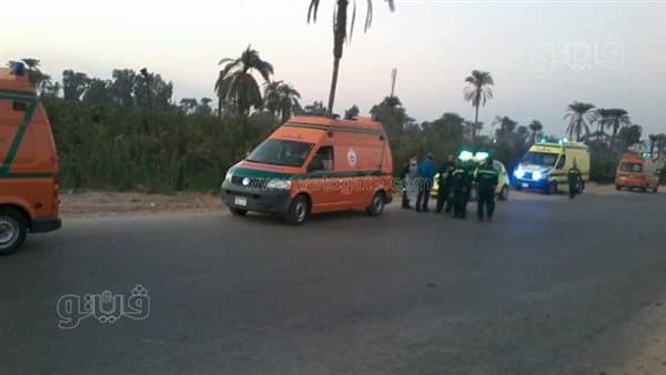 Menoufia Motorcycle Crash Injures Four