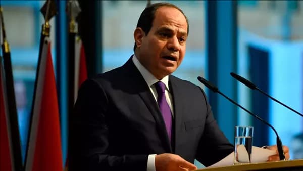 Sisi: Egypt's forces face misrepresentation