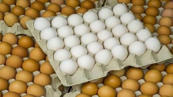 Egg prices shift as Baladi eggs rise